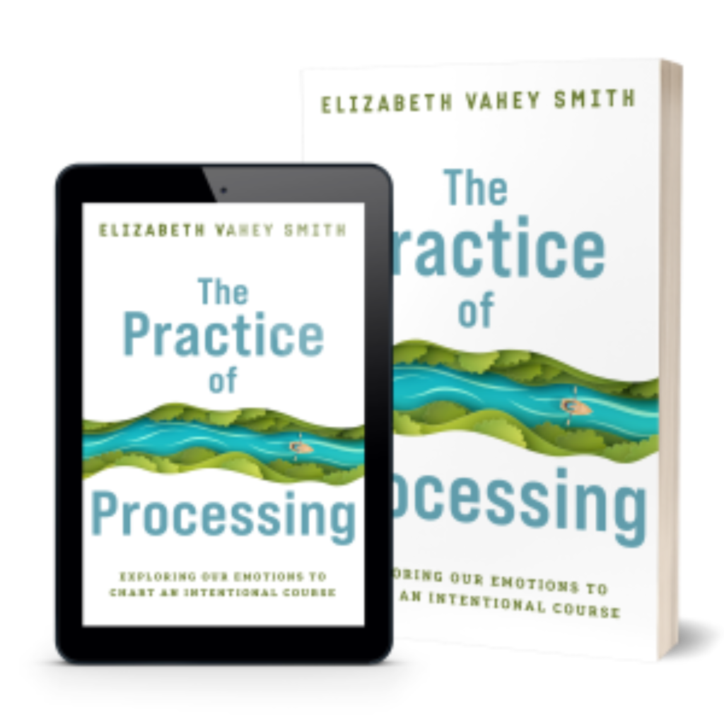 The book "The Practice of Processing" in both physical and ebook forms.